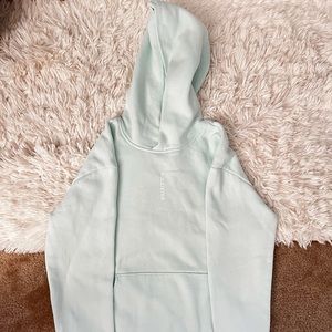 Teal Hollister Hoodie